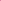 Hollis Hot Pink Jett Setter